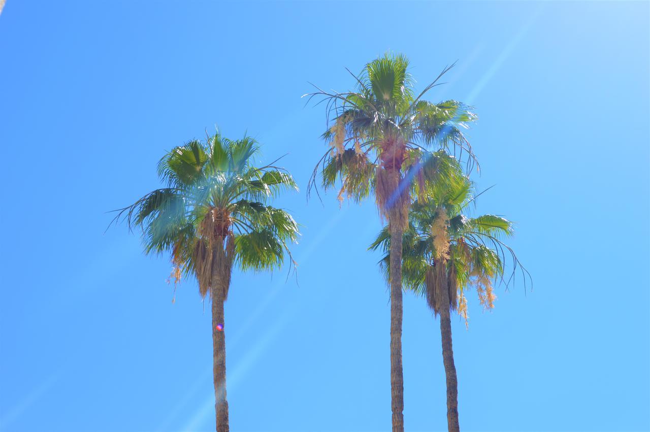 Musicland Hotel Palm Springs Bagian luar foto
