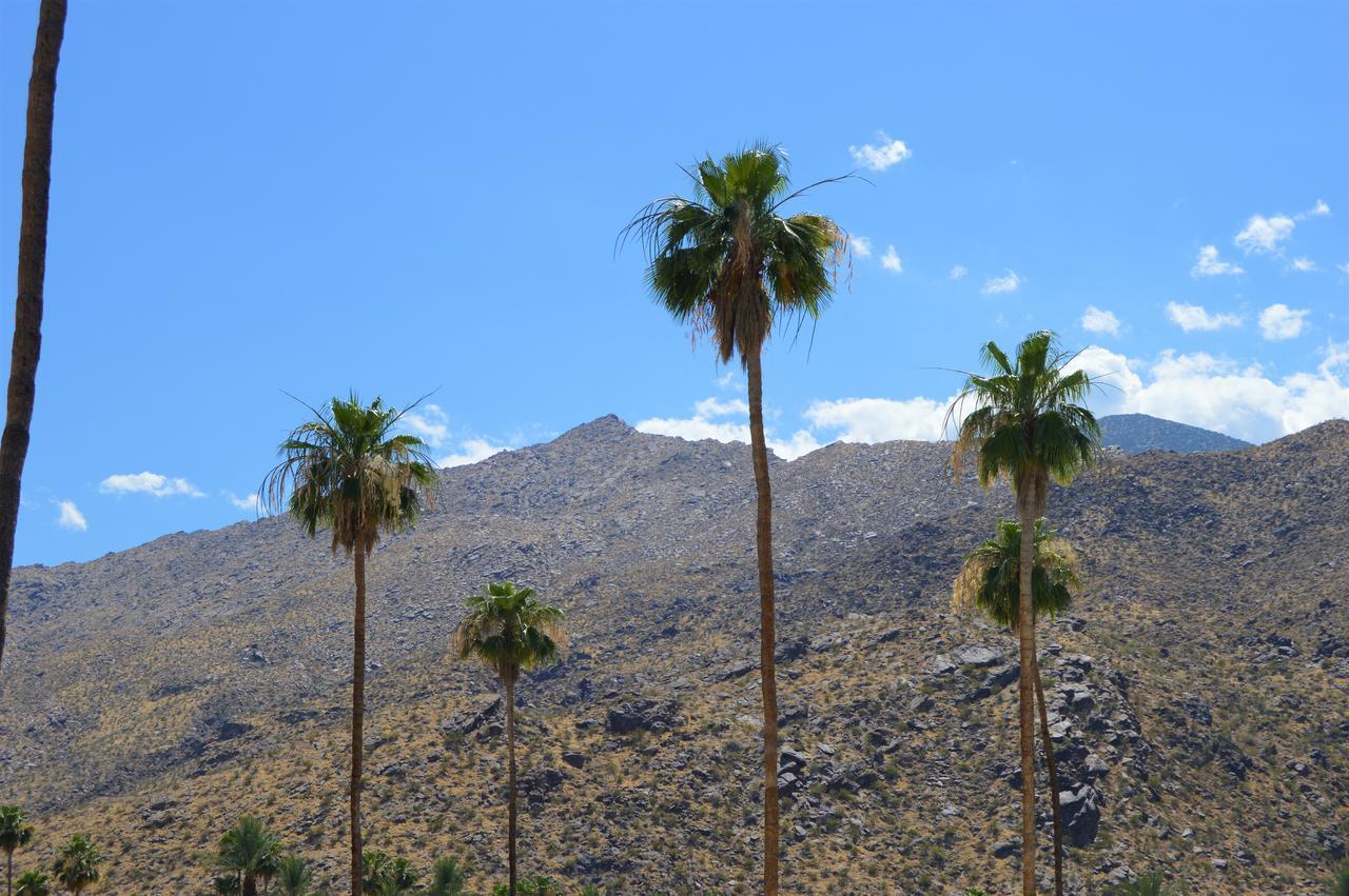 Musicland Hotel Palm Springs Bagian luar foto